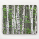 Suche nach birken mousepads Wald