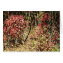 Suche nach smokies Natur