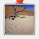 Suche nach afrika ornamente Namibia