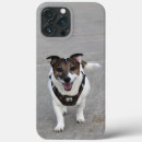 Suche nach jack russell iphone hüllen Terrier