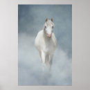 Suche nach blaues pony poster Pferd