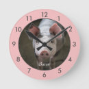 Suche nach niedliche schweine wanduhren Lustig