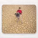 Suche nach falter mousepads Hund