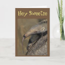 Suche nach der aardvark karten Vorschlag