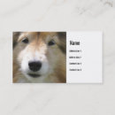 Suche nach pawprints visitenkarten Tierarzt