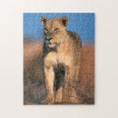 Suche nach löwin puzzle Tier