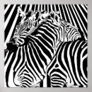 Suche nach zebras poster Tiere