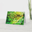 Suche nach kiwi karten Aotearoa