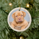Suche nach weiß und gold ornamente Weihnachtsbaum