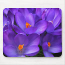 Suche nach krokodile mousepads Blume