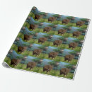 Suche nach weide geschenkpapier Wild
