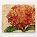 Suche nach vibrierendes mousepads Blüte