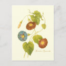 Suche nach viktorianische illustration postkarten Blume