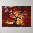 Suche nach acer poster Herbstfarbe