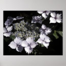 Suche nach nature photography poster Fog