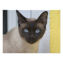 Suche nach schwarzer rauch poster Dunkel