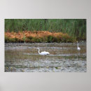 Suche nach helder poster Fotografie