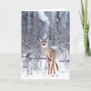 Suche nach hirsche karten Schnee