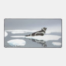 Suche nach nordpol mousepads Alaska