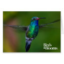 Suche nach vogelkunde postkarten Vogelbeobachter