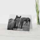 Suche nach horse birthday karten Glücklich