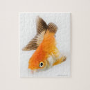 Suche nach goldfische puzzle Meereswelt