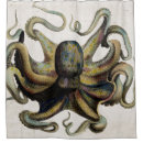 Suche nach krake dusch vorhänge Dusche