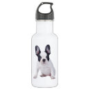 Suche nach französische bulldogge trinkflaschen Franchise