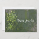 Suche nach königin anne postkarten Grün