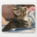 Suche nach laden sie ein mousepads Bild