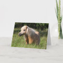 Suche nach shetland pony karten Tier