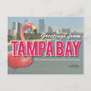Suche nach tampa bay Florida