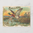 Suche nach vintage jagd postkarten Natur