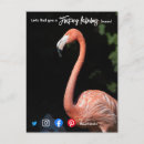Suche nach flocken postkarten Flamingo