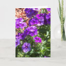 Suche nach phlox karten Lila
