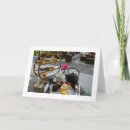 Suche nach biologische karten Fotografie