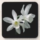 Suche nach narzisse untersetzer Schwarzes