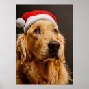 Suche nach golden retriever poster Feier