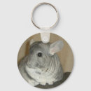 Suche nach chinchilla schlüsselanhänger Nagetier