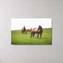 Suche nach tierfamilie poster Kanada
