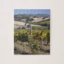Suche nach weinberge puzzle Landwirtschaft
