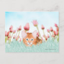 Suche nach orange katze postkarten Tulpen