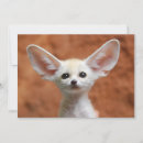 Suche nach fennec fox postkarten Kyonggi do provinz