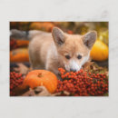 Suche nach niedlicher corgi postkarten Kürbis