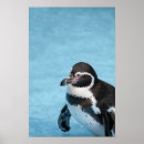 Suche nach magellan poster Küste