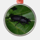 Suche nach fehler ornamente Insekten
