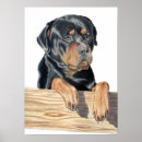 Suche nach wachhund poster Haustier