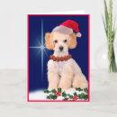 Suche nach pudel karten Weihnachten