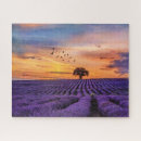 Suche nach friedlich puzzle Sonnenuntergang