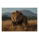 Suche nach lion poster Raubtier